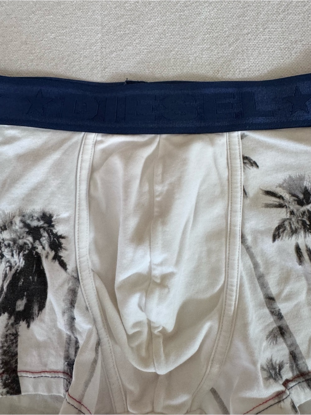 Diesel White and Blue Boxer Briefs size L - Picture 2 of 5